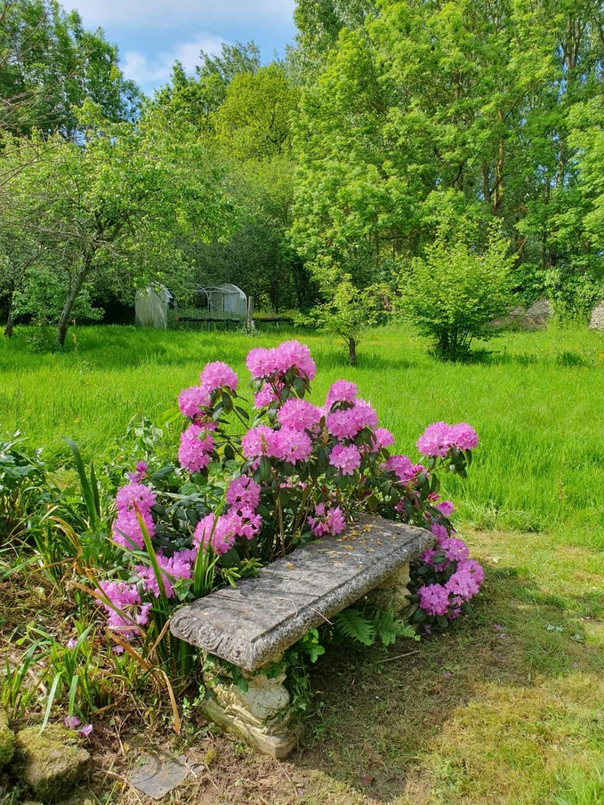 Quévert La Guyonnais Bed & Breakfast エクステリア 写真